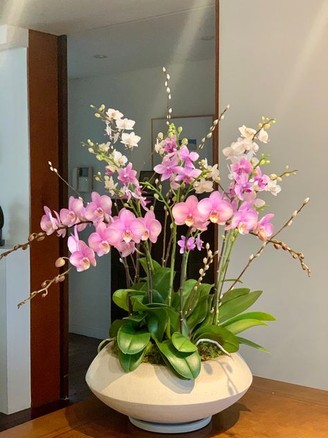 Orchid Flower Arrangements, Flora Garden, Diy Garden Fountains, Home Floral Arrangements, Flower Vase Arrangements, Orchid Arrangements, Flower Shower, Plant Decor Indoor, Indoor Flowers