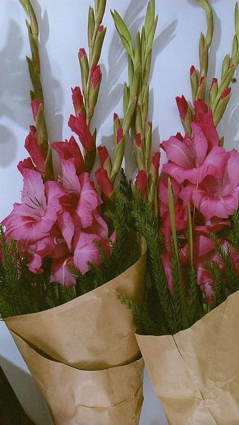 Gladiolus Flower Aesthetic Wallpaper, Gladiolus Flower Aesthetic, August Aesthetic, Gladiolus Flower, Temple Bells, Flower Bucket, Nothing But Flowers, Favorite Flowers, Buy Flowers