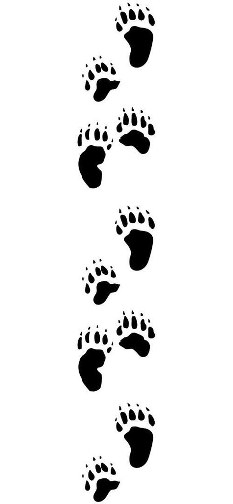 Bear Medicine, Paw Stencil, Bear Paw Tattoos, Paw Tattoos, Polar Bear Paw, Bear Footprint, Dog Caricature, Canis Major, Animal Signs