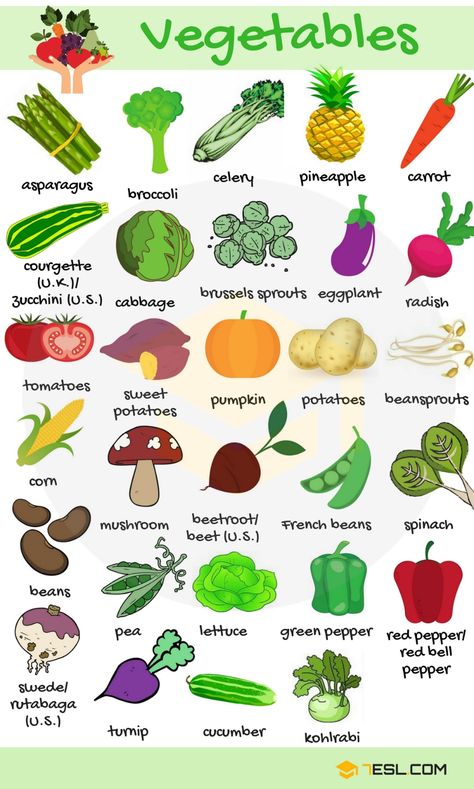 Name Of Vegetables, Fruits Name In English, Materi Bahasa Jepang, Fruit Names, List Of Vegetables, Learning English For Kids, English Vocab, Kids English, English Verbs