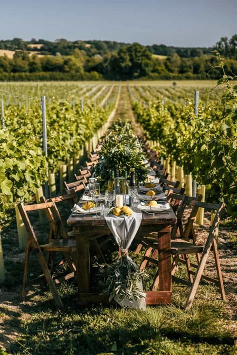 Wedding Venue Vineyard, Alternative Wedding Venues, Vineyard Dinner Party, Wine Farm Wedding, Vineyard Party, Vineyard Picnic, Vineyard Dinner, Winery Event, Feasting Table