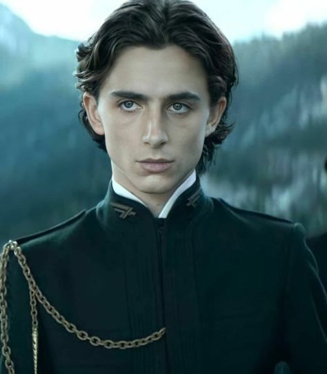 Paul Atreides Icon, Regulus Acturus Black, Bene Gesserit, I Am So Sorry, Paul Atreides, Daemon Targaryen, French Boys, Denis Villeneuve, Timmy T