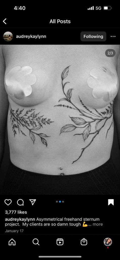 Sternum To Chest Tattoo, Greenery Shoulder Tattoo, Sternum Plant Tattoo, Sternum To Belly Button Tattoo, Sternum Leaves Tattoo, Pelvis Tattoos Women Cover Up, Vines On Stomach Tattoo, Floral Torso Tattoo, Plant Chest Tattoo Female