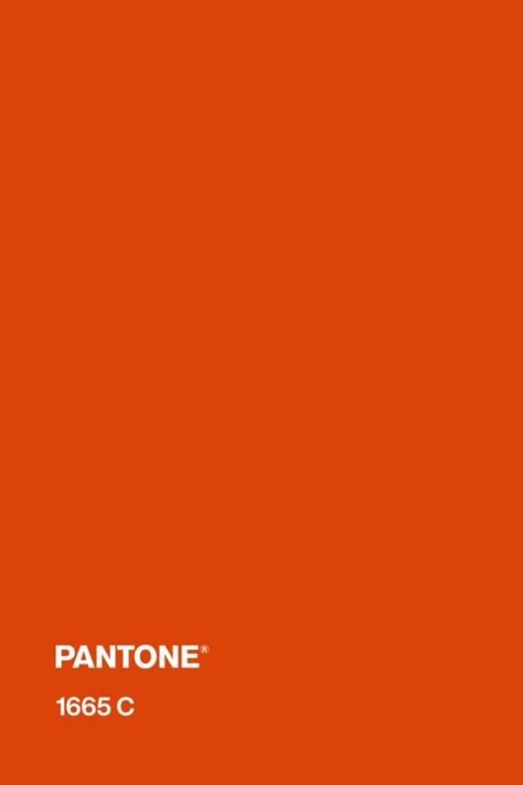 #pantone #orange #color #pantone1665c Bakery Design, Deep Orange, Branding Design Inspiration, Fashion Colours, Colour Palette, Personal Branding, Orange Color, Design Inspiration, Branding