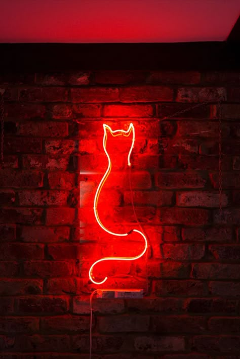 red neon cat light Neon Sing, Neon Led Lights, Neon Ideas, Red Neon, Coat Rack Diy Wall, Neon Light Ideas, Diy Wall Decor Cheap, Neon Lights Bar, Pet Neon Sign