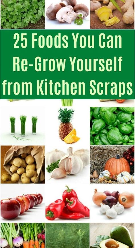 Healthy Eating Guide, Prepper Food, Kitchen Scraps, How To Eat Better, Garden Recipes, Survival Food, Small Space Gardening, Food Waste, Eating Habits