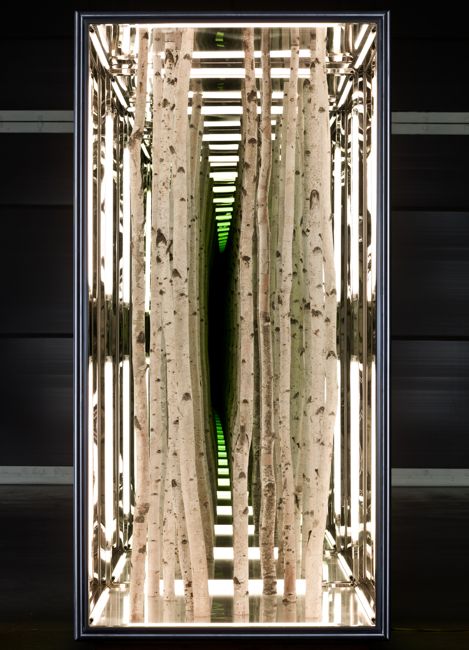 Breathtaking Sculptures Depict Infinite Forests Mirror Tree, Infinity Mirror Diy, Anthony James, Infinite Mirror, Hobo Art, Two Way Mirror, Nature Projects, Peach Tree, Infinity Mirror