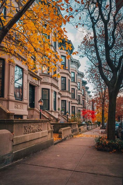 Amazing Things to do in Park Slope Brooklyn (Local's Guide) - Your Brooklyn Guide Brooklyn Guide, New York Neighborhoods, City Streets Photography, Park Slope Brooklyn, Brooklyn Park, Park Slope, Visiting Nyc, Washington Square Park, New York Life