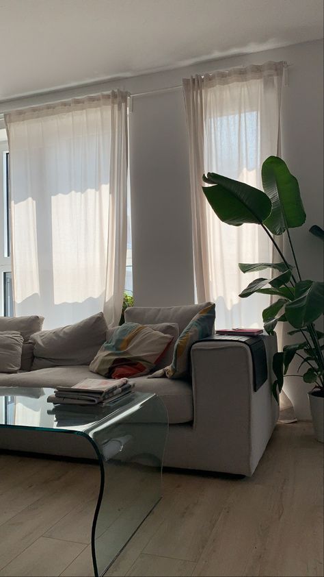 Glass coffee table and beige sofa, light space, light colour palette, large windows Sofa In Front Of Sliding Glass Door, Glass Desk Behind Couch, Window Behind Sofa, Led Light Behind Sofa, Big Windows Apartment Aesthetic, Light Colour Palette, Behind Sofa, Sofa Light, Space Light