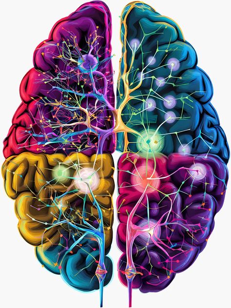 ""Vibrant Neural Network Brain Illustration - Science and Art Combined"" Sticker for Sale by WatermelonPink | Redbubble Brain Surrealism, Neural Network Art, Brain Psychology, Brain Artwork, Brain Maps, Brain Pictures, Neuroscience Art, Brain Design, Brain Neurons