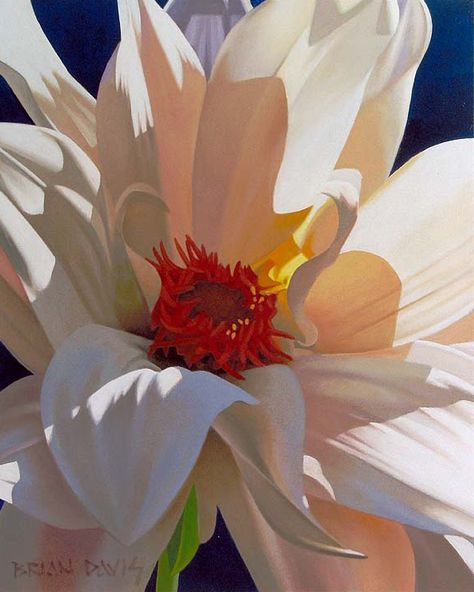 Brian Davis, Oil Painting Flowers, Flower Art Painting, Big Flowers, Dec 7, Watercolor Cards, Flower Photos, Botanical Art, Floral Painting