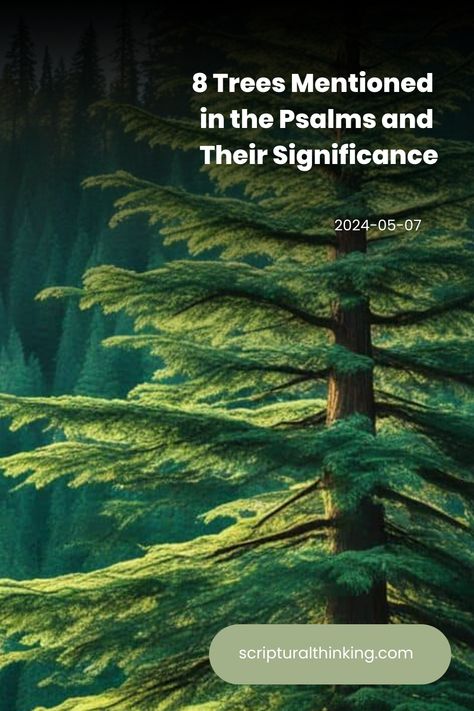 Explore the spiritual symbolism behind 8 trees mentioned in the Psalms, uncovering their deeper meanings and divine significance in scripture. Psalms Meaning, Psalm 80, Tree Unit, Psalm 92, Psalm 104, The Psalms, Unit Study, Deep Meaning, How To Grow Taller