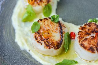 Well seared scallops are paired with a sweet parsnip purée and tangy yuzu vinaigrette to make a recipe that's equally simple and impressive. Yuzu Vinaigrette Recipe, Yuzu Vinaigrette, Parsnip Puree Recipe, Grilled Scallops Recipe, Scallops Recipe, How To Cook Scallops, Parsnip Puree, Grilled Scallops, Grilled Seafood Recipes