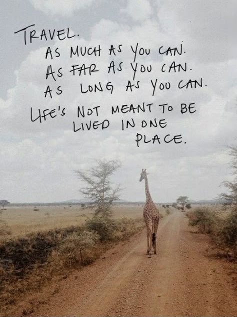 A Giraffe, Nelson Mandela, E Card, A Quote, Travel Quotes, Great Quotes, Beautiful Words, Favorite Quotes, Wise Words