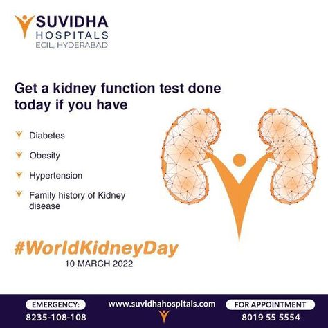 Our kidneys work really hard for us, let us support them with proper care. You can book a Kidney function test at Suvidha Hospitals at https://suvidhahospitals.com/health-checkups/ Contact US: 8019555553, 8019555554 #suvidhahospitals #suvidhahospitalsecil #besthospitalinecil #superspecialityhospital #emergencyservices #worldkidneyday World Kidney Day, Kidney Function Test, Kidney Function, Before Baby, Family History, Disease, Let It Be, Health