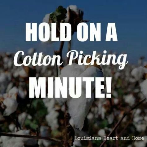 Country saying Southern Talk, Cotton Picking, Southern Words, Southern Expressions, Southern Phrases, Southern Slang, Southern Humor, Southern Grace, Southern Pride