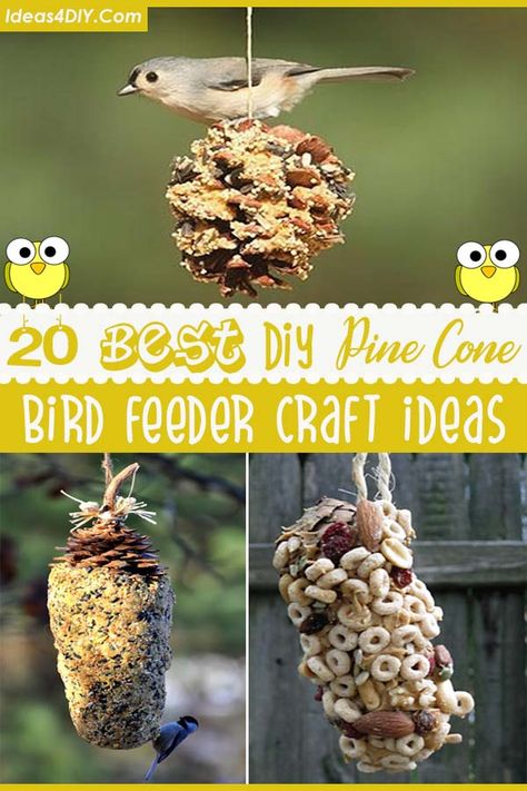 Learn how to make DIY Pine Cone Bird Feeder and Craft Ideas #DIYBirdFeeder #BirdFeeders #HowtoMakeBirdFeeder #PineConeBirdFeeder Homemade Bird Feeder, Bird Feeders For Kids To Make, Pine Cone Bird Feeder, Make A Bird Feeder, Bird Feeder Craft, Easy Bird, Homemade Bird Feeders, Diy Pinecone, Nature School