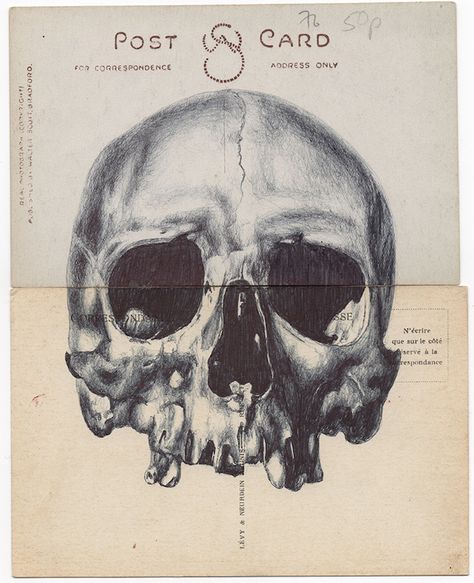 Mark Powell, Biro Drawing, Biro Art, Antique Postcards, Pen Illustration, Skull Drawing, Human Skull, A Level Art, Antique Postcard