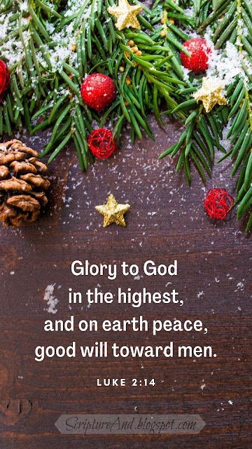 Wallpapers With Bible Verses, Phone Lock Screen, Christmas Verses, Scripture Images, Bible Verse Memorization, Christmas Bible Verses, Peace Scripture, Christmas Bible, Phone Lock