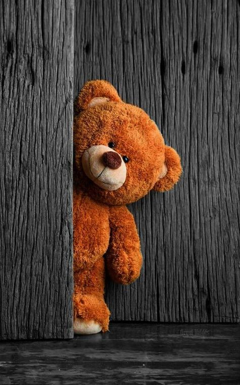 Cute Backgrounds For Iphone, Teddy Bear Images, Teddy Bear Wallpaper, Android Wallpaper Art, Iphone Dynamic Wallpaper, Image Swag, Iphone Wallpaper Hd Nature, Swag Cartoon, Trending Pins