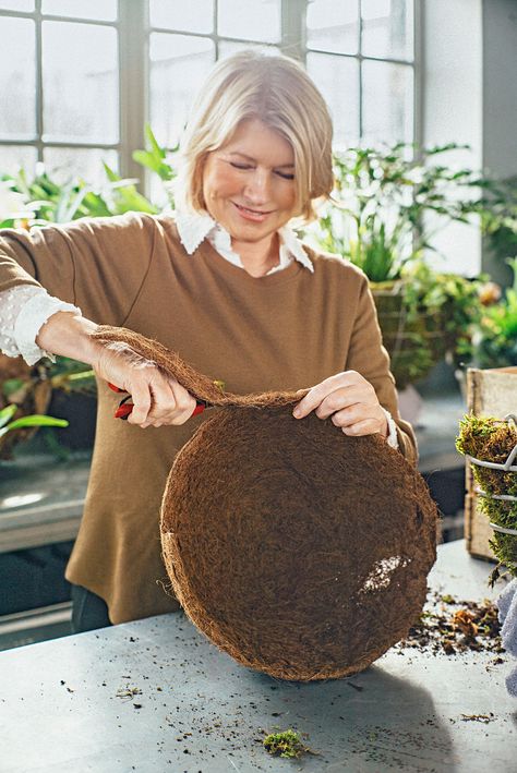 coconut coir liner Outdoor Hanging Plants, Best Hanging Plants, Native Plant Landscape, Hanging Plants Outdoor, Edible Gardens, Diy Hanging Planter, Staghorn Fern, Mint Flowers, Native Plant Gardening