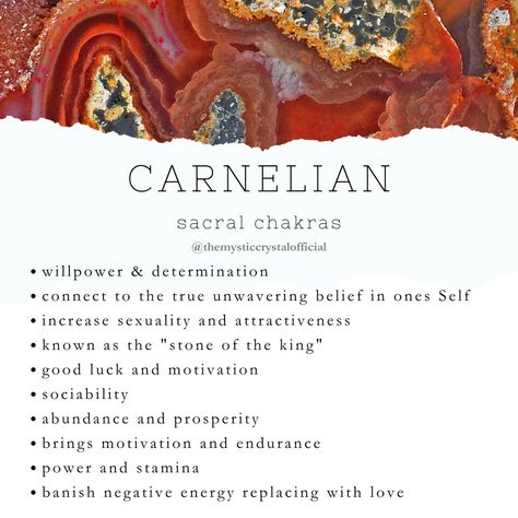 Carnelian Meaning - Mystic Crystal Dream Carnelian Stone Meaning, Carnelian Affirmation, Carnelian Crystal Meaning, Mindful Crafts, Carnelian Meaning, Medicine Plants, Earth Medicine, Sturgeon Moon, Crystals Collection