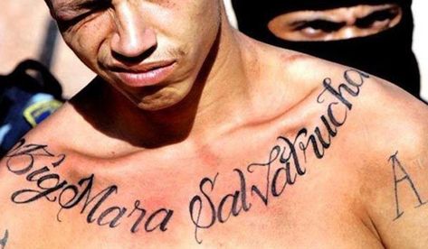 50 Most Wanted Collar Bone Tattoos Latin Kings Gang, Ms 13, Related Tattoos, Gang Tattoos, Tattoos Pictures, Kumbh Mela, Bone Tattoos, Small Tattoos With Meaning, Cool Chest Tattoos