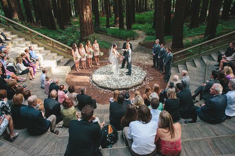 Love Story at the UC Botanical Garden in Berkeley California. Your Cal wedding could be in our amphitheater under towering redwoods. Amphitheater Wedding, Redwood Forest Wedding, Forest Wedding Ceremony, Wedding Ceremony Setup, Forest Wedding Venue, Ryan Kelly, Berkeley California, Botanical Gardens Wedding, Uc Berkeley