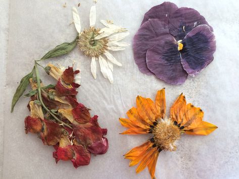 DIY Book Flower Press (free craft from the garden) | Be A Fun Mum Press Flowers, Pressing Flowers, Herbal Shop, Flower Pressing, Father's Day Printable, Flower Press, Marble Painting, Dried And Pressed Flowers, Dry Flower