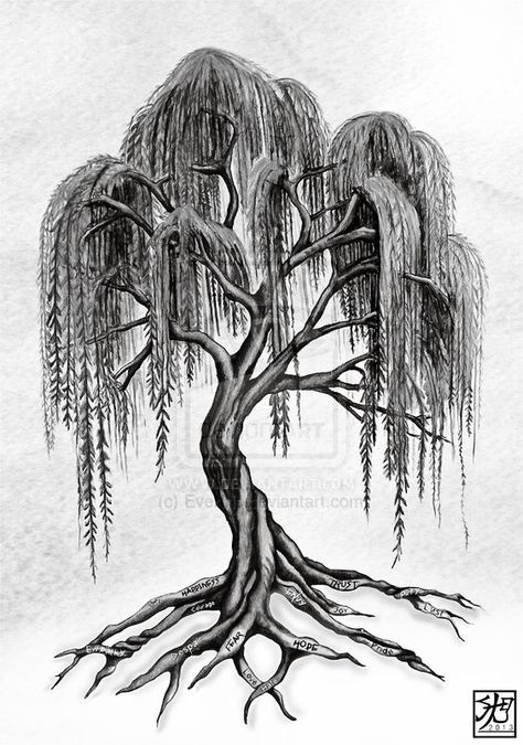 Finn's side tattoo Tattoo Tree Roots, Tree Tattoo Side, Weeping Willow Tattoo, Willow Tree Art, Roots Tattoo, Willow Tree Tattoos, Tattoo Tree, Super Tattoo, Easy Draw