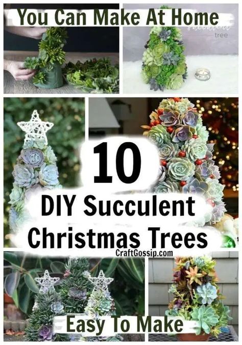 Succulent Christmas Tree, Succulent Christmas, Holiday Centerpieces Christmas, Succulent Wreath Diy, Succulent Tree, Tree Centerpieces, Garden Christmas, Simple Christmas Tree, Christmas Garden