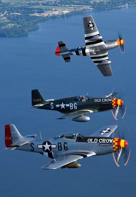 Mustangs flying wild and free as the wind! #avgeeks #aviation #aviationlovers Fighter Planes Art, Transportation Photography, Warbirds Pinups, Ww2 Fighter Planes, Wwii Fighter Planes, Us Military Aircraft, P 51 Mustang, Wwii Airplane, Old Planes