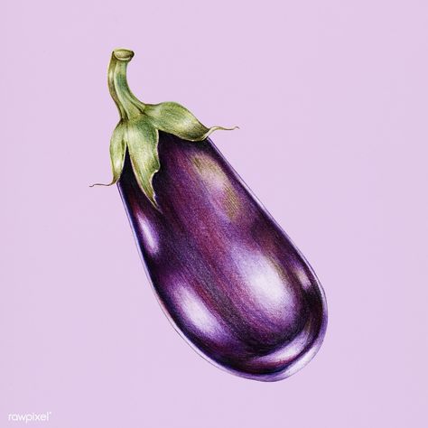 Hand drawn watercolor of eggplant | premium image by rawpixel.com Vegetable Drawing, Blending Colored Pencils, Vegetable Painting, Vegetable Illustration, Fruits Drawing, Colored Pencil Artwork, Pencil Shading, Object Drawing, Watercolor Fruit