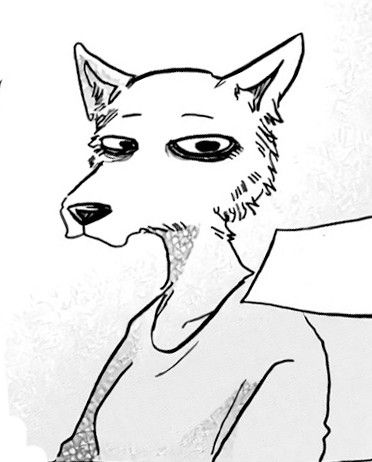 Raccoon Person, Beastars Oc, The Expressionless, Tibetan Fox, Enrico Pucci, Animal Farm, Drawing Tips, Anime Shows, Farm Animals