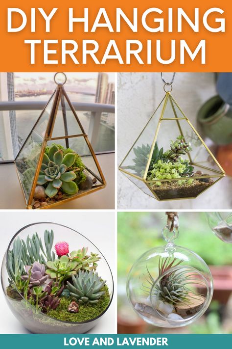 If you're liking the idea of mini gardens, you might want to try making hanging terrariums! Here we will share with you how to build a hanging terrarium and some tips, tricks, and advice on how to take care of them. Don't miss it! #terrariums #hangingterrarium #containergardening Hanging Terrarium Ideas, Tree Trunk Slices, Hanging Terrarium, Terrarium Containers, Lavender Gifts, Air Plant Terrarium, Terrarium Ideas, Geometric Terrarium, Triangle Diamond