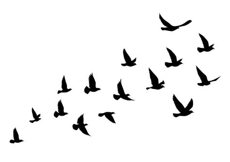 Bird Flying Tattoo, Flying Bird Vector, Bird Silhouette Tattoos, Bird Design Tattoo, Flying Bird Silhouette, Vogel Silhouette, Vogel Tattoo, Flying Bird Tattoo, Flying Tattoo