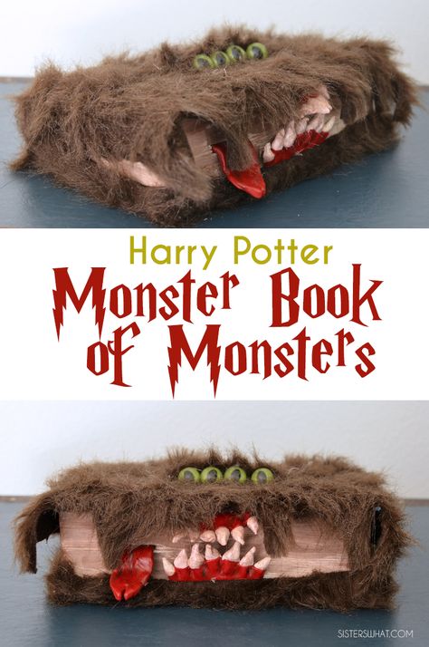 Prisoner Of Azkaban Party, Harry Potter Motto Party, The Monster Book Of Monsters, Harry Potter Monster Book, Harry Potter Weihnachten, Baby Harry Potter, Harry Potter Pumpkin, Book Of Monsters, Classe Harry Potter