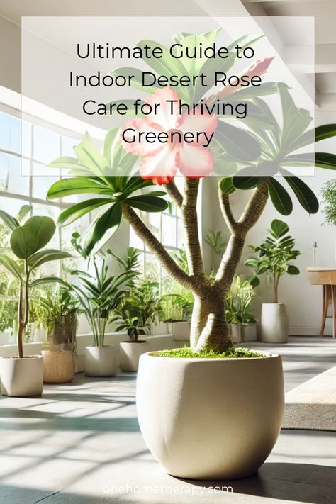 Discover the secrets to lush and thriving Desert Rose plants with our Ultimate Guide to Indoor Desert Rose Care! 🌵✨ Packed with expert tips and easy-to-follow steps, this guide is your go-to resource for creating stunning greenery in your home. Click to explore the best practices for watering, lighting, and more to keep your Desert Rose thriving. Don't miss out on transforming your indoor space—unlock the full potential of your plants today! 📚🌿 #DesertRoseCare #IndoorPlants #GreenThumb Desert Rose Plant Care, Desert Rose Care, Rose Plant Care, Desert Roses, Desert Rose Plant, Flowering Succulents, Rose Plant, Rose Care, Plant Parent