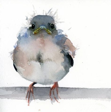 Holly Wach Little Wonders baby bird watercolor prints Bird Watercolor Art, Whimsical Art Paintings, Bird Watercolor Paintings, Bird Watercolor, Diy Watercolor Painting, Watercolor Prints, Watercolor Art Lessons, Baby Bird, Watercolor Inspiration