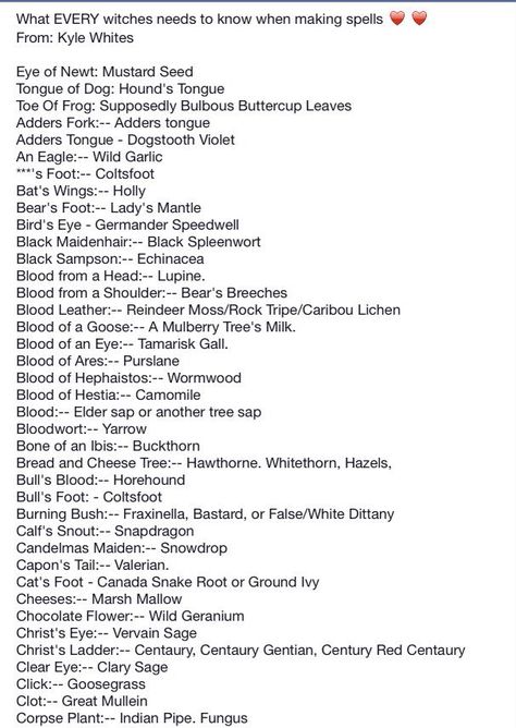 Witches Ingredients List, Witch Names For Herbs, Common Spell Ingredients, Powerful Witch Names, Witch Needs List, Witch Coven Names, Witch House Names, Witchy Names Mystic, Witch Ingredient List