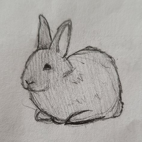 Bunny Sketch Easy, Simple Bunny Drawing, Bunny Drawing Easy, Funny Animal Drawings, Rabbit Drawing Easy, Animal Sketches Easy, Bunny Sketches, Arte Punk, Bunny Drawing