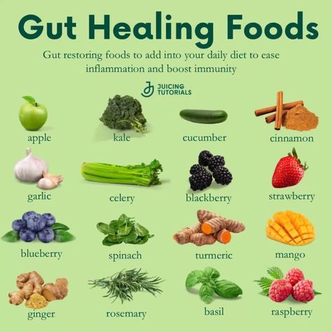 Gut Healing Foods, Gut Health Diet, Gut Healing Recipes, Gut Health Recipes, Food Health Benefits, Healing Foods, Healing Recipes, Resep Diet, Healthy Lifestyle Food