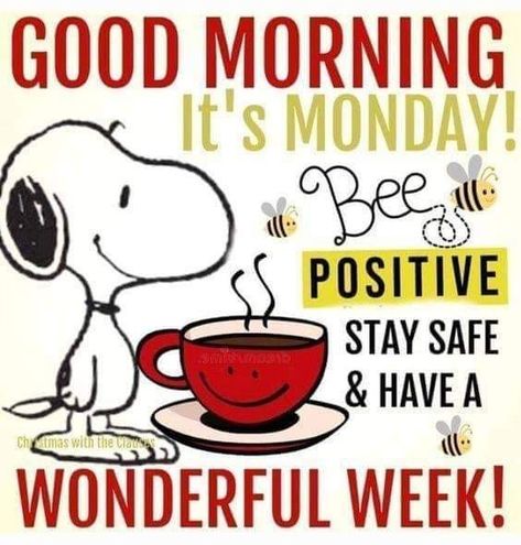 Monday Pictures, Happy Monday Quotes, Happy Monday Morning, Monday Morning Quotes, Good Morning Snoopy, Good Monday Morning, Happy Day Quotes, Snoopy Dog, Good Morning Happy Monday