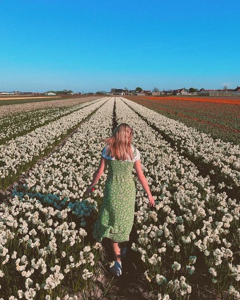 aesthetic flower field 😍 flowers, cottagecore, cottage core, aesthetic, summer, spring, aesthetic summer, aesthetic spring, sun, wallpaper, aesthetic wallpaper 🌸🌼🌷 Lilly Core Aesthetic, Lauren Core Aesthetic, Courtney Core Aesthetic, Hollie Core, Lindsey Aesthetic, Constance Core, Lillie Core, Lilly + Core + Aesthetic, Harmony Core