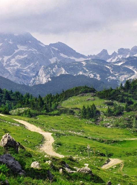 Slovenia Alps, Slovenia Hiking, Wine History, Dalmatian Coast, History Architecture, Eastern Europe Travel, Plitvice Lakes, Forest Path, Green Landscape