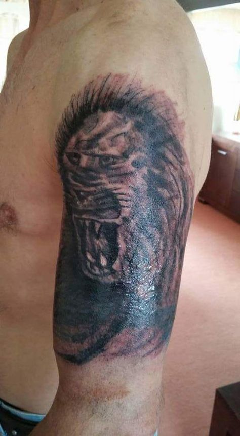 Erm... A Lion? Fail Tattoos, Zipper Tattoo, Sock Tattoo, Fierce Tattoo, Terrible Tattoos, No Regrets Tattoo, Tattoo Fails, Bad Tattoos, Head Tattoos