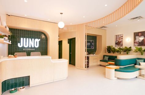 Inside Juno Veterinary: How Toronto’s newest vet clinic is reinventing pet care Dog Shop Interior, Vet Waiting Room, Vet Clinic Layout, Veterinary Clinic Design Receptions, Vet Clinic Organization, Pet Shop Interior, Pet Shop Aesthetic, Vet Clinic Design, Veterinary Clinic Design