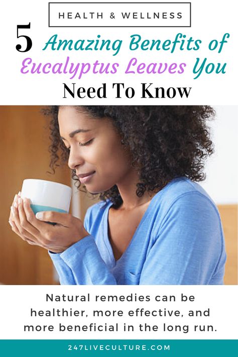 When it comes to healing of any kind, natural remedies can be healthier, more effective, and more beneficial in the long run. Here are 5 benefits of eucalyptus leaves you need to know! Eucalyptus Tea Benefits, Eucalyptus Benefits, Benefits Of Eucalyptus, Eucalyptus Tea, Clear Healthy Skin, Lemon Eucalyptus, Dried Eucalyptus, Tea Benefits, Lemon Tea