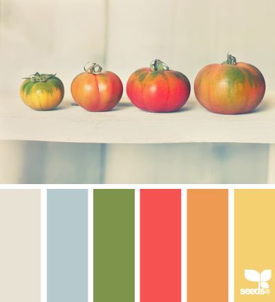 ༺༺༺♥Elles♥Heart♥Loves♥༺༺༺ ............♥Color Charts♥............ #Color #Chart #ColorChart #Inspiration #Design #Moodboard #Paint #Palette #Decorate #Art #Renovate ~ ♥Tomato tones by Design seeds Inkleur Prente, Design Seed, Seeds Color, Thanksgiving Color, Design Seeds, Color Palate, Trendy Kitchen, Red Design, Color Stories