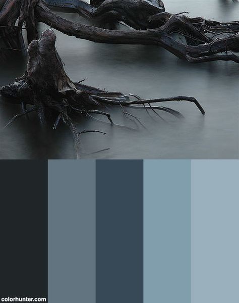 Creepy Misty Roots Color Scheme from colorhunter.com Decay Color Palette, Blue Goth Color Palette, Foggy Color Palette, Evil Colour Palette, Gothic Color Pallete, Graveyard Color Palette, Corpse Bride Color Palette, Victorian Gothic Color Palette, Gloomy Color Palette